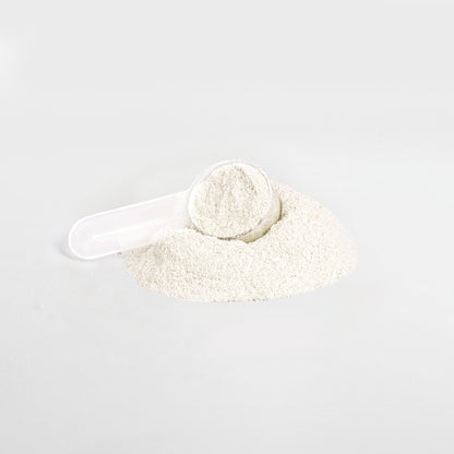 CheckyNyanChan - Nyamune Energy Powder (Yuzu Flavor)