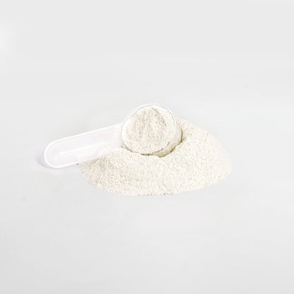 Gloomira Yelps - ZomPulse Energy Powder (Yuzu Flavor)