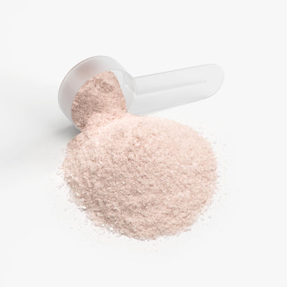 RJ_TheLonelyVT - FatCat Frappe Hydration Powder (Peach Mango)